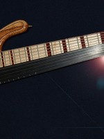 Basse frettée fretless 10 cordes