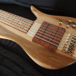 Basse électrique Luthier Petrychko