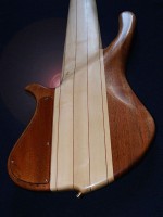 Basse frettée fretless 10 cordes