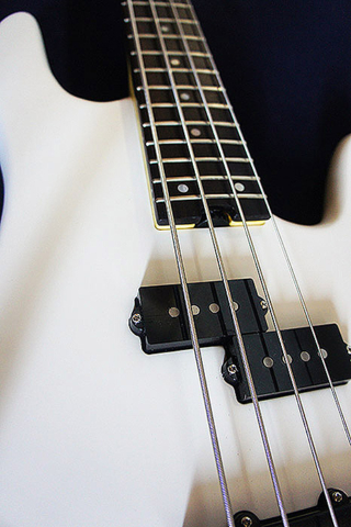 Luthier Petrychko