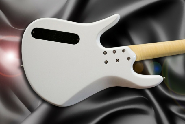 Luthier Petrychko