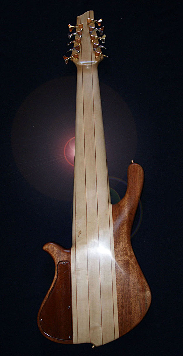 Basse 10 cordes luthier Petrychko