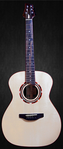 guitare acoustique petrychko