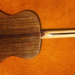 Guitare luthier Petrychko