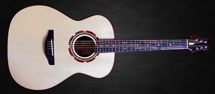 luthier marseille Petrychko