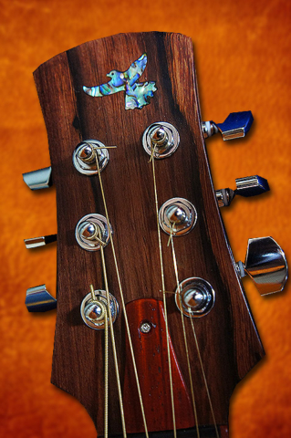 Guitare luthier Petrychko