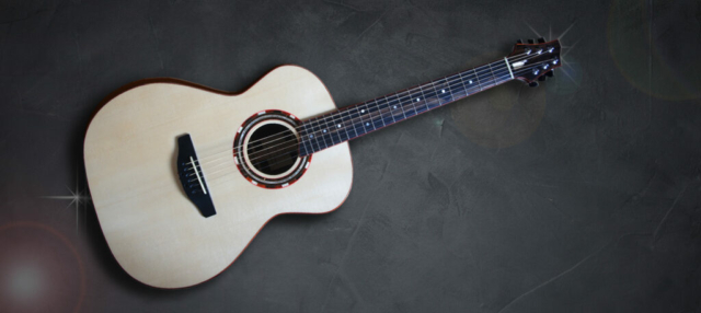 Guitare de Petrychko luthier Marseille